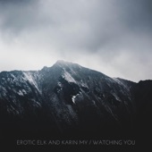 Watching You (feat. Karin My) artwork