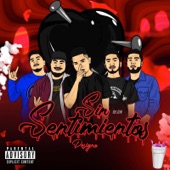 Sin Sentimientos artwork