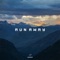 Run Away (feat. Umair) - Wali Aleem lyrics