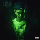 NGU artwork