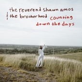 The Reverend Shawn Amos & The Brotherhood - Counting Down the Days