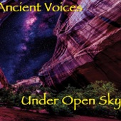 Under Open Sky