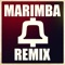 Twerk It Vine It Up - Marimba Remix lyrics