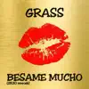 Bésame Mucho (2k20 Rework) - Single album lyrics, reviews, download
