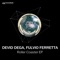 Roller Coaster - Devid Dega & Fulvio Ferretta lyrics