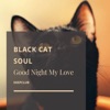 Black Cat Soul - Good Night My Love