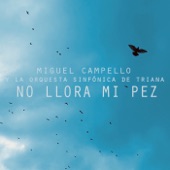 No Llora Mi Pez (Versión Orquestal) artwork