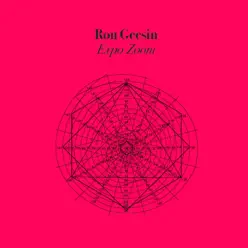 Expo Zoom - Ron Geesin Expo Zoom - Ron Geesin
