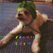 Frankie Cosmos - Birthday Song