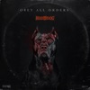 Obey All Orders - Single