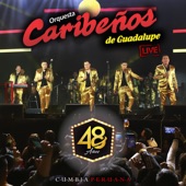 48 Años (Live) [Cumbia Peruana] artwork