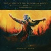 The Mystery Of The Bulgarian Voices - Shandai Ya (feat. Lisa Gerrard)