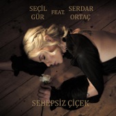 Sebepsiz Çiçek (feat. Serdar Ortaç) artwork