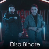 Disa Bihare artwork