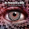 The Story of Dmt - Single