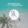 I Can Do Without You - Single