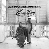 Aux Impossibles Imminents artwork