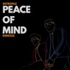 Peace of Mind - Single, 2020