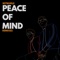 Peace of Mind (Extended Dance Mix) artwork
