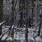 Itwasallme, Ineedyou - Lelenoflops lyrics