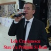 Stau Cu Prietenii Si Beau - Single