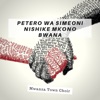 Petero Wa Simeoni Nishike Mkono Bwana