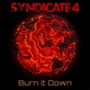 Burn It Down - Single