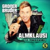 Großer Bruder 2k19 (feat. Promi BB Bewohner) - Single