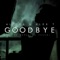 Goodbye (For Manuel & Vasco) - Alex T & Alphka lyrics