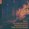 Stream & download Madagascar (Tom Staar Remix) - Single