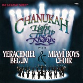 Chanukah - Light Up the Nights artwork