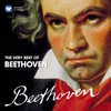 Nikolaus Harnoncourt & Chamber Orchestra of Europe - Piano Concerto No. 3 in C Minor, Op. 37: III. Allegro con brio (Cadenza by Beethoven)