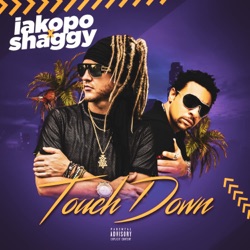 Touch Down (feat. Shaggy)
