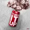 Turn It Up - Single album lyrics, reviews, download