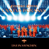 Cantus Buranus Live in München artwork