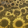 Himawari - Single