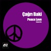 Peace Love - Single