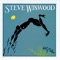 Dust - Steve Winwood lyrics