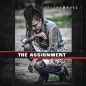 The Assignment artwork