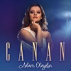 Adam Olaydın - Single