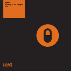 Big Wig / Mr. Tangles - Single by Hybris album reviews, ratings, credits