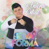 Se Va Forma - Single
