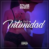 En la Intimidad artwork