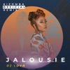 Jalousie (DJ Lova Kizomba Official Remix) - Single