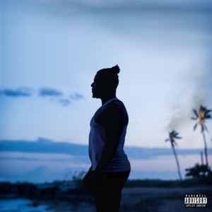Late Bloomer - Single