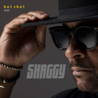 Shaggy - Hot Shot 2020 (Deluxe Edition) artwork