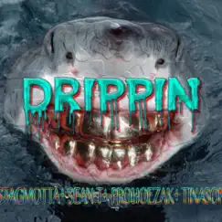 Drippin' (feat. Stagmotta, sean T, prohoezak & tinason) - Single by 4evasumma album reviews, ratings, credits