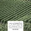 andres cantu - Celebrations