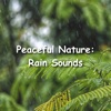 Peaceful Nature: Rain Sounds