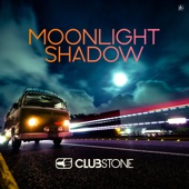 Moonlight Shadow artwork